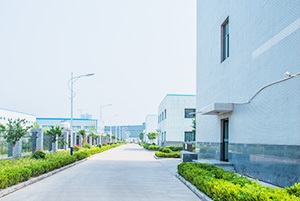 自公司成立以來，以振興和發(fā)展我國貴金屬催化劑和催化工藝為己任，已研究、開發(fā)出了活性炭負載，氧化物負載，有機物負載貴金屬催化劑，均相催化劑，手性催化劑，專用催化劑等上百種催化劑，以及一百多種催化合成/反應工藝技術。